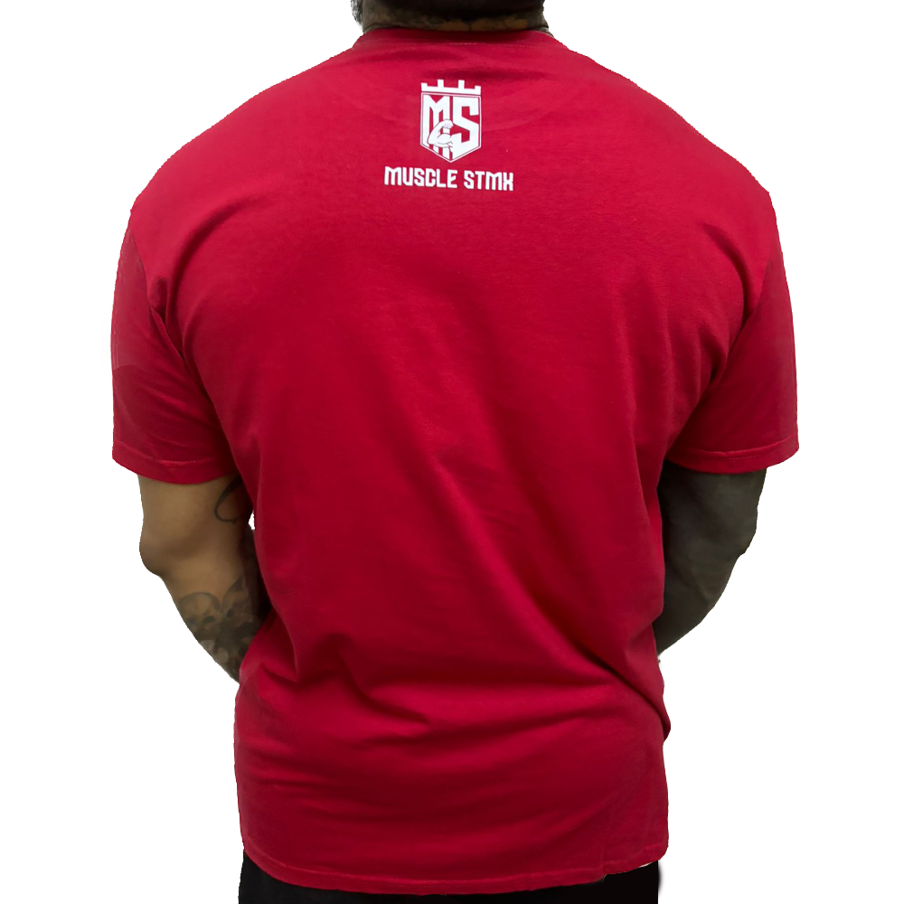 Playera Insane Labz (Corte Regular)