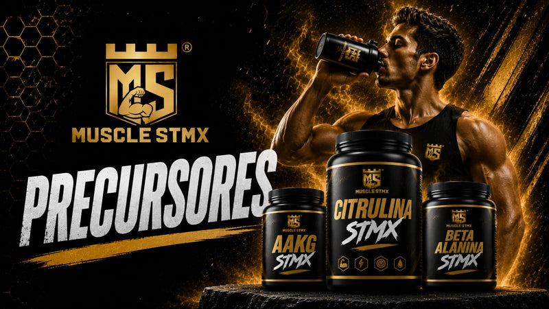 precursor de testosterona